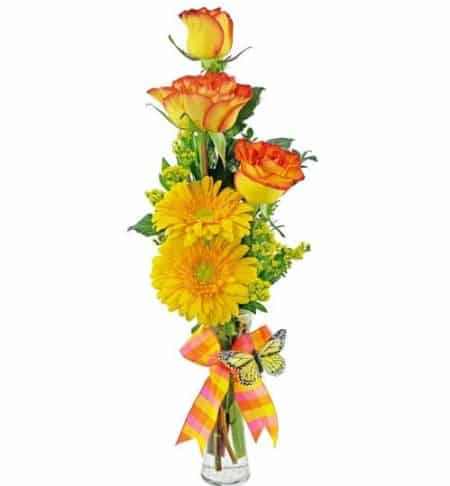 Bright smiles will ensue when your loved ones see this pretty budvase arrive. It's made with konfetti roses, yellow gerbera daisies, and golden aster. 