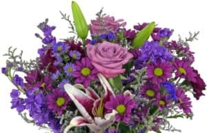 Always a popular choice, Ooh La La has been reinvented in shades of purple, fuschia, and lavender. Moody Blues roses, a stargazer lily, daisies, carnations, stock and more, are arranged in a clear glass vase, with a purple ribbon. This fresh, fragrant bouquet is everything you expect, and so pleasing to the eye!