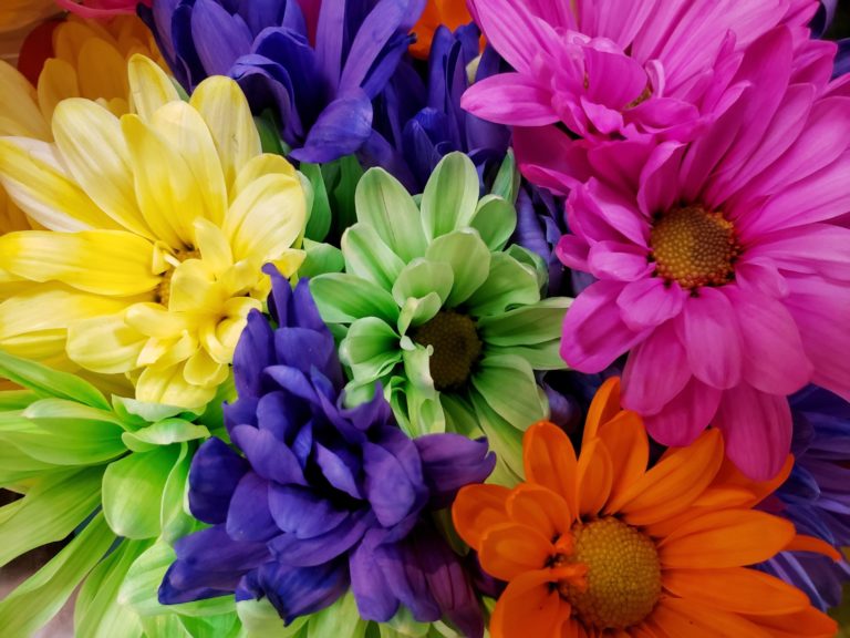 Creating a Fall Display With Chrysanthemums - Zeidler's Flowers