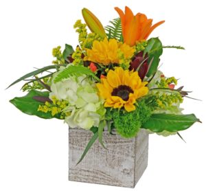 sunlfowers with orange lily and greens in a vase