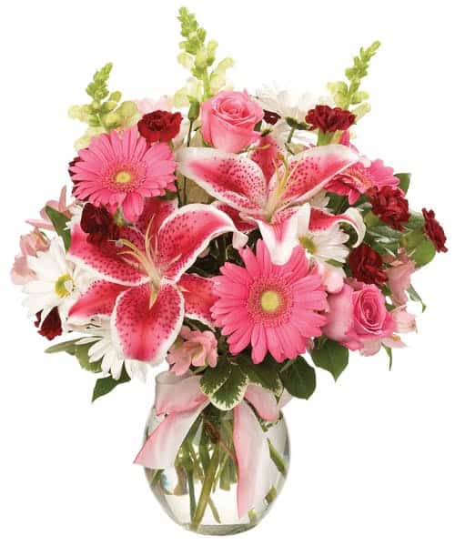 Pink and white with burgundy accents: stargazer lilies, roses, gerbera daisies, alstromeria, mini carnations, and daisy pomps, in a clear glass vase tied with a pink ribbon.