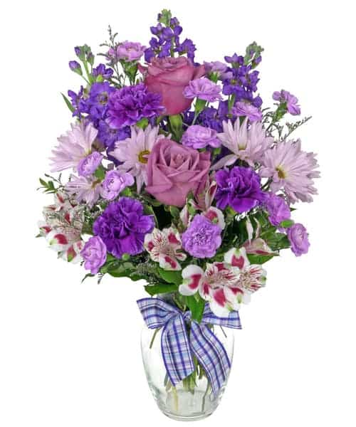 The deluxe version is a lovely bouquet of lavender roses, purple stock, mini carnations, carnations, daisies, alstromeria, and caspia arranged in a clear glass vase and tied with a purple plaid ribbon.